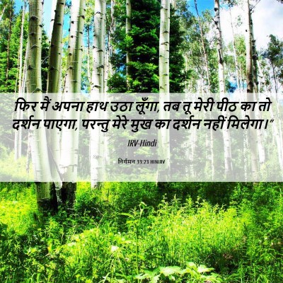 Picture 06 - निर्गमन 33:23 HINIRV - फिर मैं अपना हाथ - Bible Verse Picture