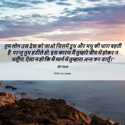 Picture 06 - निर्गमन 33:3 HINIRV - तुम लोग उस देश को - Bible Verse Picture