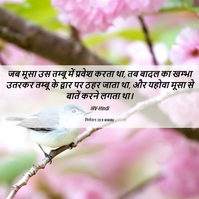 Picture 06 - निर्गमन 33:9 HINIRV - जब मूसा उस तम्बू - Bible Verse Picture