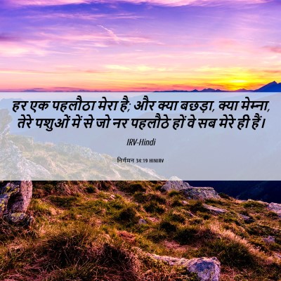 Picture 06 - निर्गमन 34:19 HINIRV - हर एक पहलौठा मेरा - Bible Verse Picture