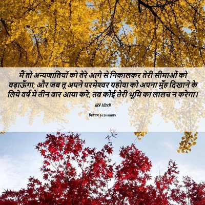 Picture 06 - निर्गमन 34:24 HINIRV - मैं तो - Bible Verse Picture