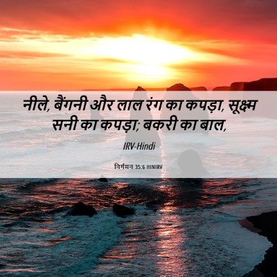 Picture 06 - निर्गमन 35:6 HINIRV - नीले, बैंगनी और लाल - Bible Verse Picture
