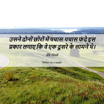 Picture 06 - निर्गमन 36:12 HINIRV - उसने दोनों छोरों - Bible Verse Picture