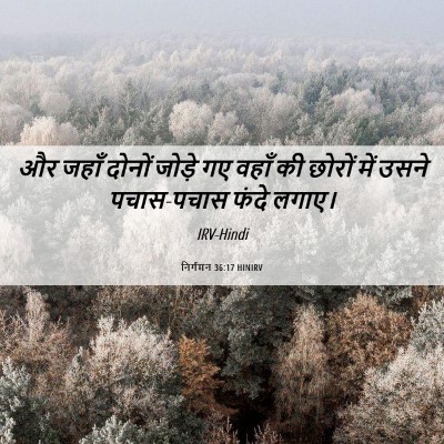 Picture 06 - निर्गमन 36:17 HINIRV - और जहाँ दोनों - Bible Verse Picture