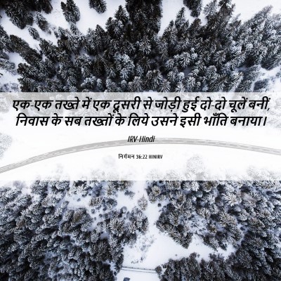 Picture 06 - निर्गमन 36:22 HINIRV - एक-एक तख्ते में एक - Bible Verse Picture