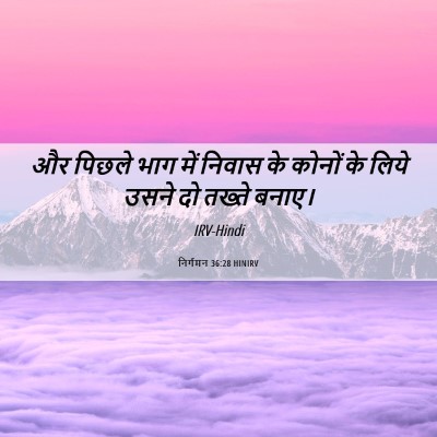 Picture 06 - निर्गमन 36:28 HINIRV - और पिछले भाग में - Bible Verse Picture
