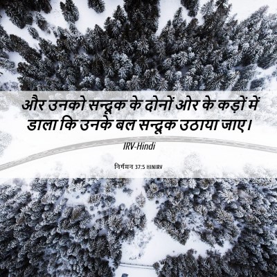 Picture 06 - निर्गमन 37:5 HINIRV - और उनको सन्दूक के - Bible Verse Picture