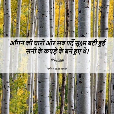 Picture 06 - निर्गमन 38:16 HINIRV - आँगन की चारों ओर सब - Bible Verse Picture