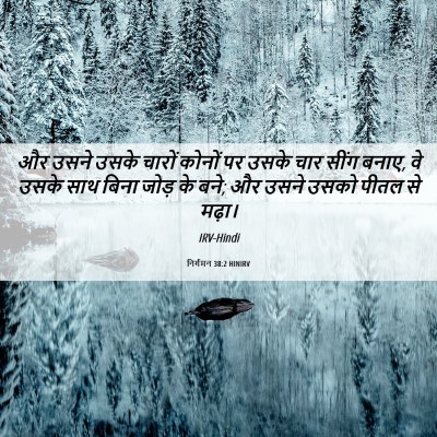 Picture 06 - निर्गमन 38:2 HINIRV - और उसने उसके चारों - Bible Verse Picture