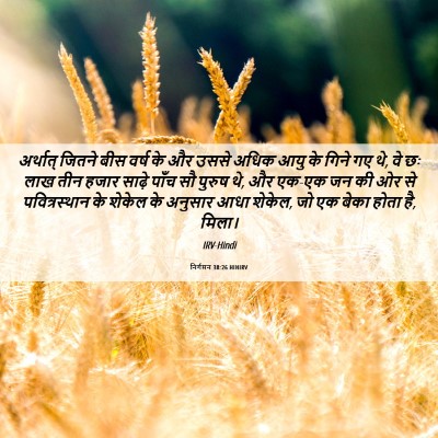 Picture 06 - निर्गमन 38:26 HINIRV - अर्थात् जितने बीस - Bible Verse Picture