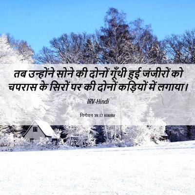 Picture 06 - निर्गमन 39:17 HINIRV - तब उन्होंने सोने - Bible Verse Picture