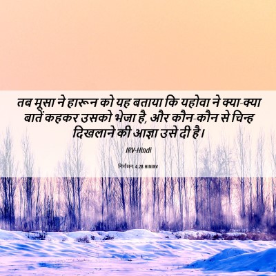 Picture 06 - निर्गमन 4:28 HINIRV - तब मूसा ने हारून को - Bible Verse Picture