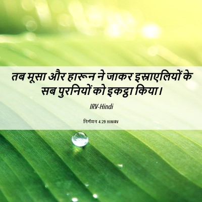Picture 06 - निर्गमन 4:29 HINIRV - तब मूसा और हारून ने - Bible Verse Picture