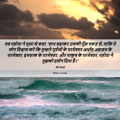 Picture 06 - निर्गमन 4:4 HINIRV - तब यहोवा ने मूसा से - Bible Verse Picture
