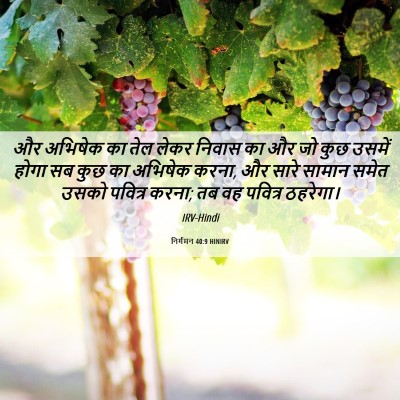 Picture 06 - निर्गमन 40:9 HINIRV - और अभिषेक का तेल - Bible Verse Picture