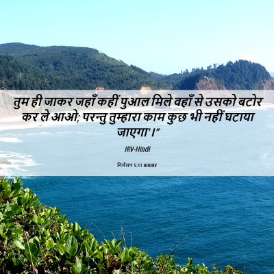 Picture 06 - निर्गमन 5:11 HINIRV - तुम ही जाकर जहाँ - Bible Verse Picture