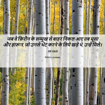 Picture 06 - निर्गमन 5:20 HINIRV - जब वे फ़िरौन के - Bible Verse Picture