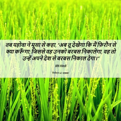 Picture 06 - निर्गमन 6:1 HINIRV - तब यहोवा ने मूसा से - Bible Verse Picture