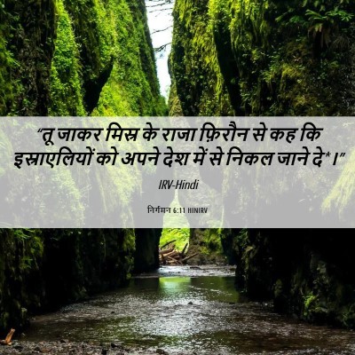 Picture 06 - निर्गमन 6:11 HINIRV - “तू जाकर मिस्र के - Bible Verse Picture