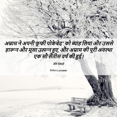 Picture 06 - निर्गमन 6:20 HINIRV - अम्राम ने अपनी - Bible Verse Picture