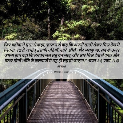 Picture 06 - निर्गमन 7:19 HINIRV - फिर यहोवा ने मूसा - Bible Verse Picture