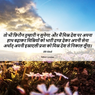 Picture 06 - निर्गमन 7:4 HINIRV - तो भी फ़िरौन - Bible Verse Picture