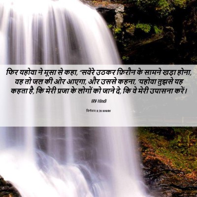 Picture 06 - निर्गमन 8:20 HINIRV - फिर यहोवा ने मूसा - Bible Verse Picture