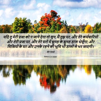 Picture 06 - निर्गमन 8:21 HINIRV - यदि तू मेरी प्रजा - Bible Verse Picture