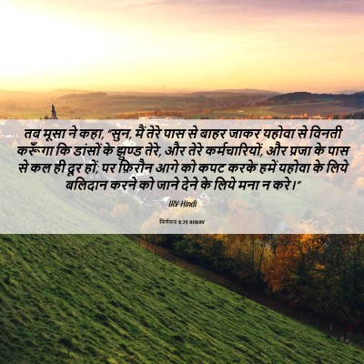 Picture 06 - निर्गमन 8:29 HINIRV - तब मूसा ने कहा, - Bible Verse Picture