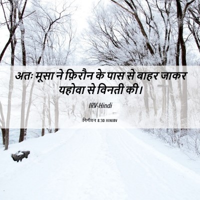 Picture 06 - निर्गमन 8:30 HINIRV - अतः मूसा ने फ़िरौन - Bible Verse Picture