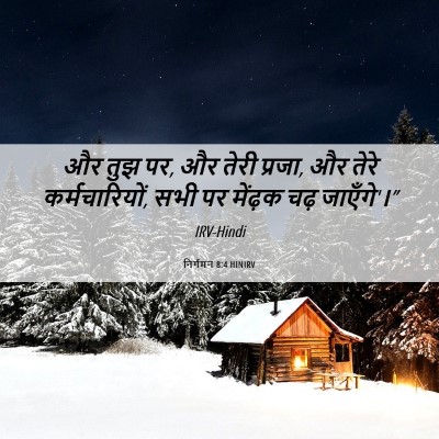 Picture 06 - निर्गमन 8:4 HINIRV - और तुझ पर, और तेरी - Bible Verse Picture