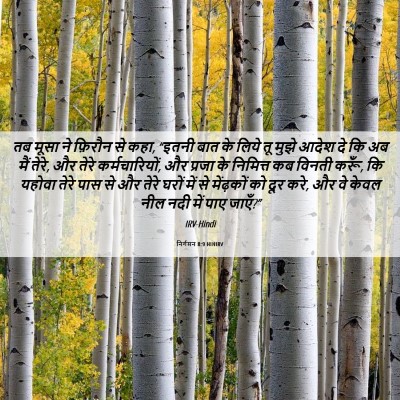 Picture 06 - निर्गमन 8:9 HINIRV - तब मूसा ने फ़िरौन - Bible Verse Picture