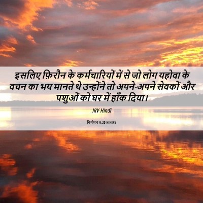 Picture 06 - निर्गमन 9:20 HINIRV - इसलिए फ़िरौन के - Bible Verse Picture