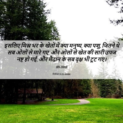 Picture 06 - निर्गमन 9:25 HINIRV - इसलिए मिस्र भर के - Bible Verse Picture