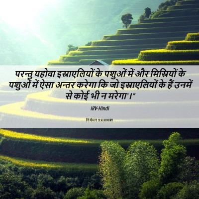 Picture 06 - निर्गमन 9:4 HINIRV - परन्तु यहोवा - Bible Verse Picture