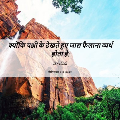 Picture 06 - नीतिवचन 1:17 HINIRV - क्योंकि पक्षी के - Bible Verse Picture