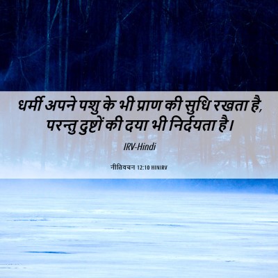 Picture 06 - नीतिवचन 12:10 HINIRV - धर्मी अपने पशु के - Bible Verse Picture