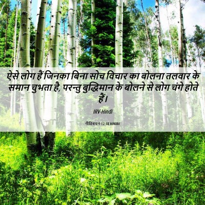 Picture 06 - नीतिवचन 12:18 HINIRV - ऐसे लोग हैं जिनका - Bible Verse Picture