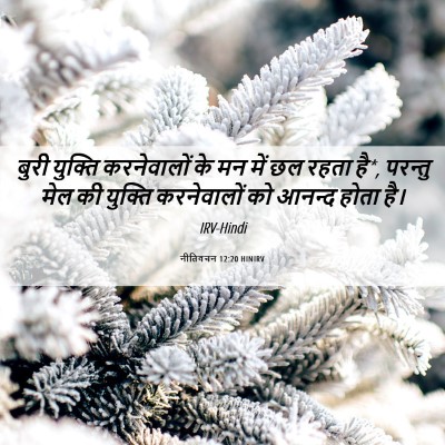 Picture 06 - नीतिवचन 12:20 HINIRV - बुरी युक्ति - Bible Verse Picture
