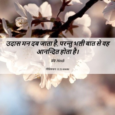 Picture 06 - नीतिवचन 12:25 HINIRV - उदास मन दब जाता है, - Bible Verse Picture