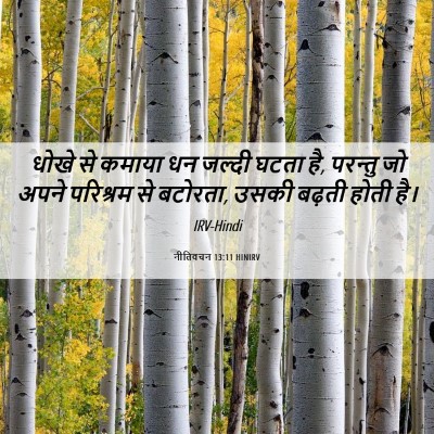 Picture 06 - नीतिवचन 13:11 HINIRV - धोखे से कमाया धन - Bible Verse Picture
