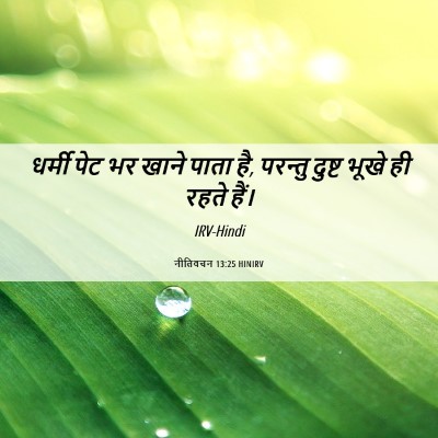 Picture 06 - नीतिवचन 13:25 HINIRV - धर्मी पेट भर खाने - Bible Verse Picture