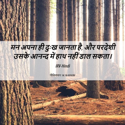Picture 06 - नीतिवचन 14:10 HINIRV - मन अपना ही दुःख - Bible Verse Picture