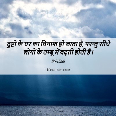 Picture 06 - नीतिवचन 14:11 HINIRV - दुष्टों के घर का - Bible Verse Picture