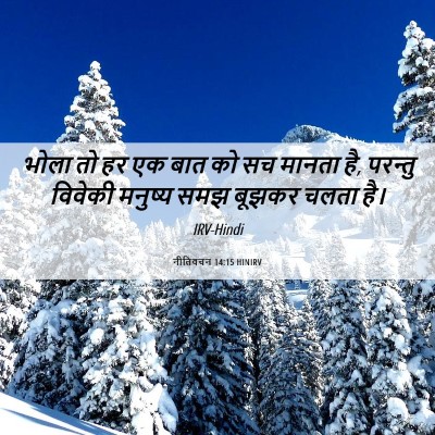 Picture 06 - नीतिवचन 14:15 HINIRV - भोला तो हर एक बात - Bible Verse Picture
