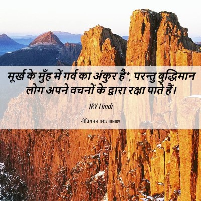 Picture 06 - नीतिवचन 14:3 HINIRV - मूर्ख के मुँह में - Bible Verse Picture