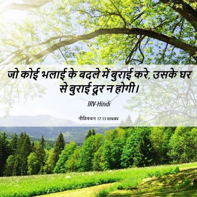 Picture 06 - नीतिवचन 17:13 HINIRV - जो कोई भलाई के बदले - Bible Verse Picture