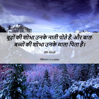 Picture 06 - नीतिवचन 17:6 HINIRV - बूढ़ों की शोभा - Bible Verse Picture