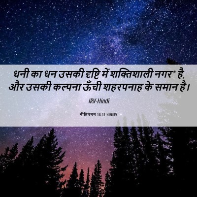 Picture 06 - नीतिवचन 18:11 HINIRV - धनी का धन उसकी - Bible Verse Picture