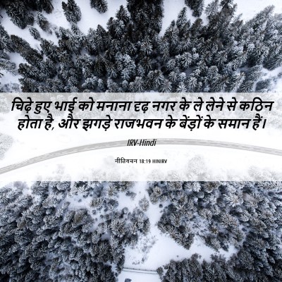 Picture 06 - नीतिवचन 18:19 HINIRV - चिढ़े हुए भाई को - Bible Verse Picture